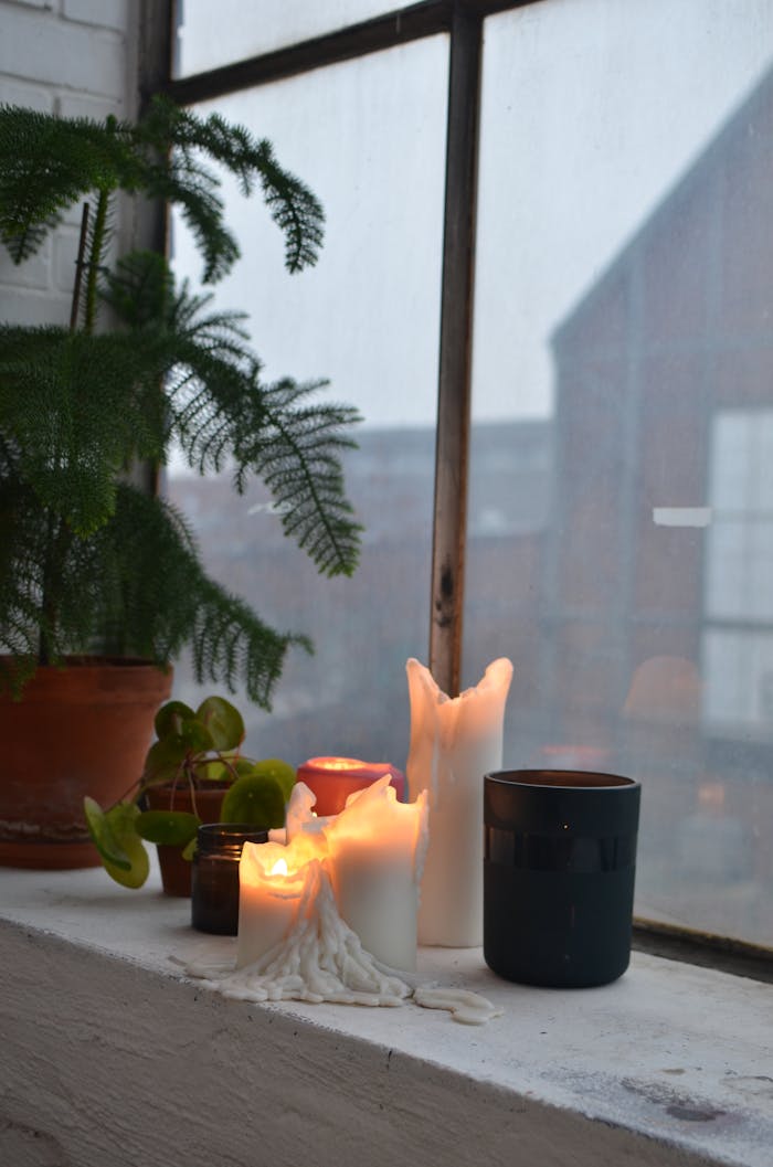 Melted wax of flaming candle near assorted potted plants against window at home in evening