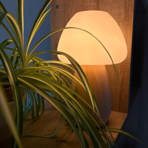 lampe champignon — lumière nomade