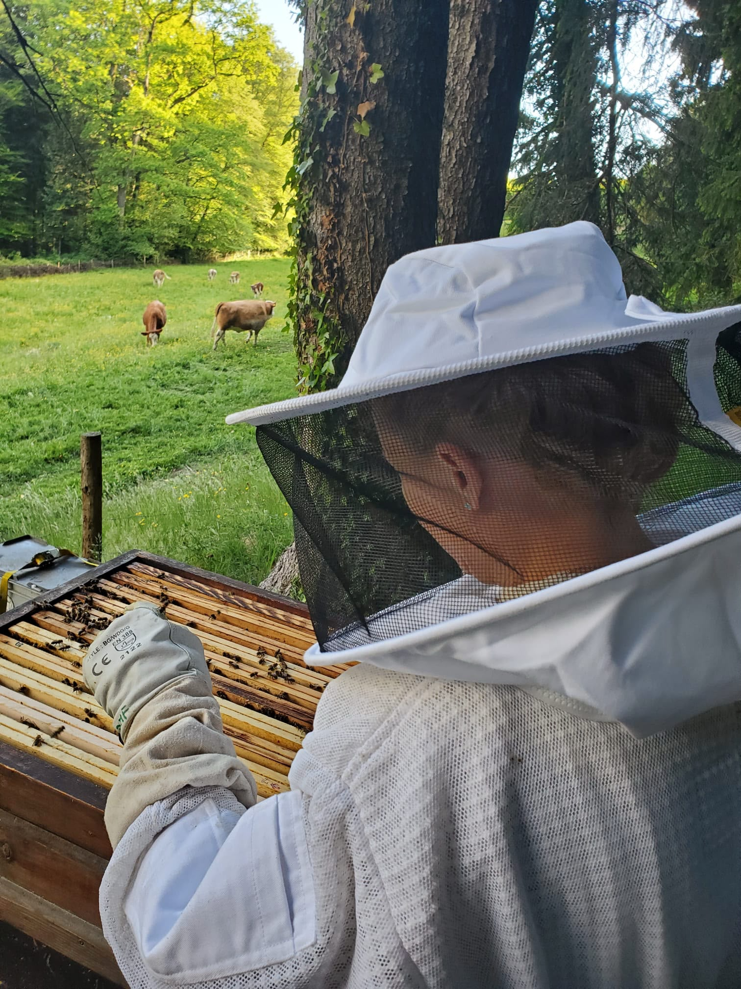 De la cire à la lumière Delphine dans la campagne vaudoise